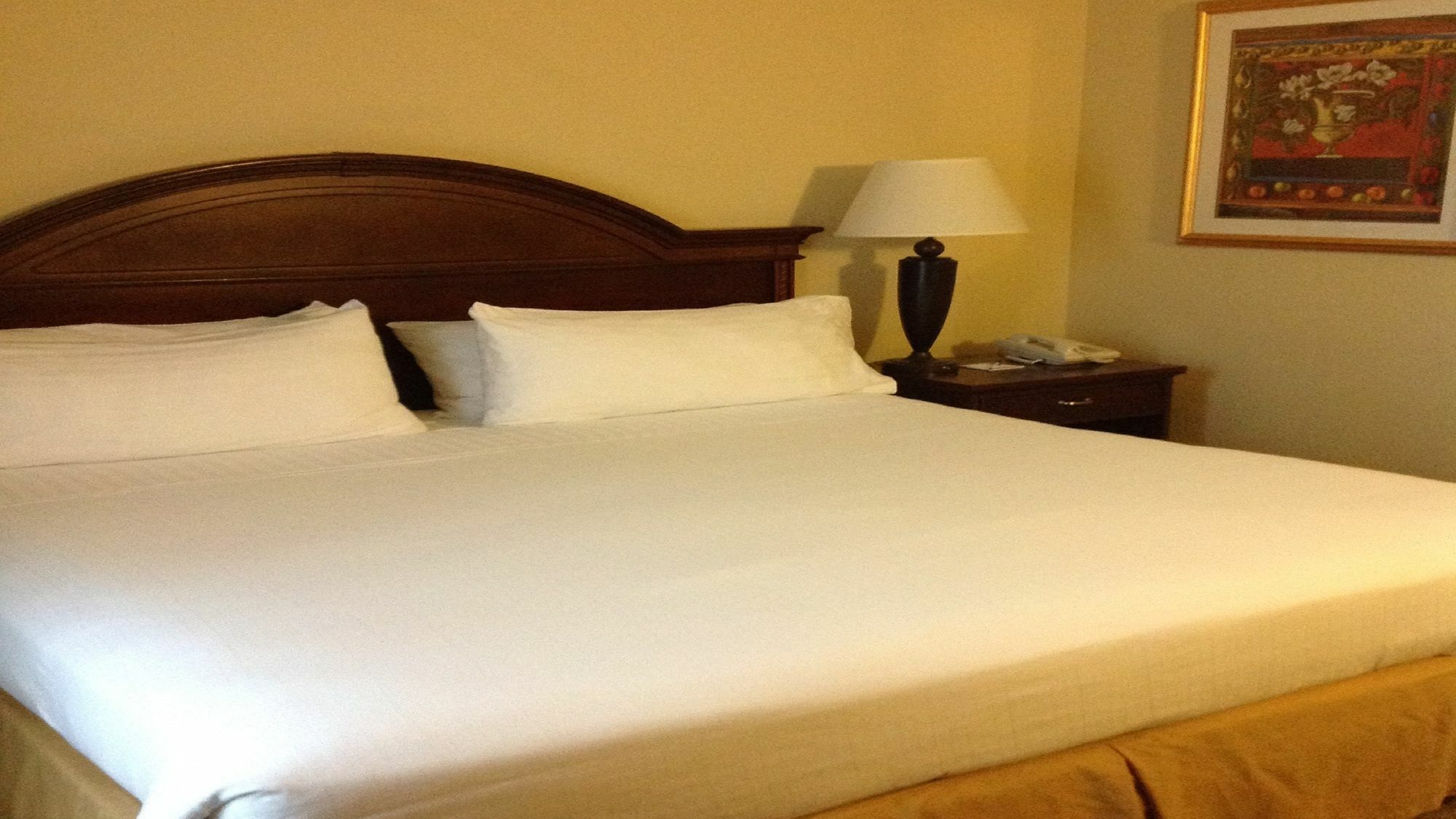 Holiday Inn Express Hotel & Suites Pigeon Forge By Ihg Extérieur photo